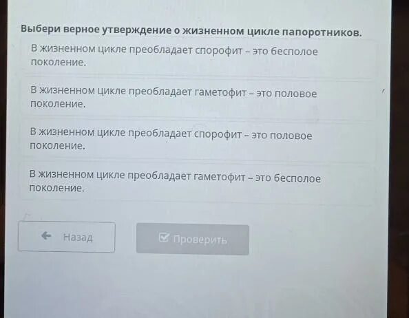 Выберите верные утверждения о природе австралии. Выберите верные утверждения о Галактики. Выберите верное утверждение вариант 1. Выберите верное утверждение о технике гризайли.. Выбери верные утверждения о Вануату..