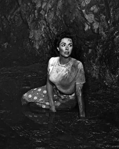 1956 похититель тел. Invasion of the body snatchers 1956. вторжение похитителей тел 1956. вторжение похитителей тел фильм 1978. invasion of the body snatchers 1955 cover.