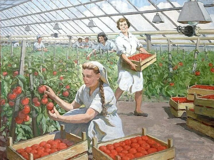 Сбор урожая томата. «сбор урожая в провансе», 1888 года.. сбор урожая. овощевод для детей. помидоры в огороде.
