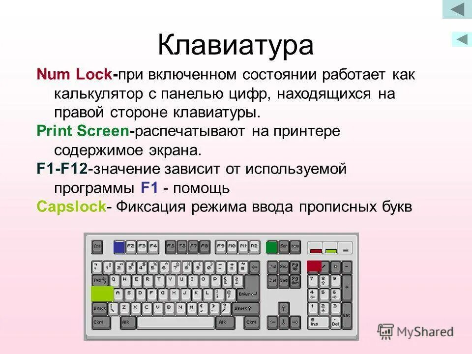 Работает часть клавиш. Части компьютерной клавиатуры. Функциональные клавиши на клавиатуре. Клавиатура компьютера для начинающих. Клавиатура изучение клавиш.