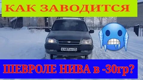 Завожу поехали