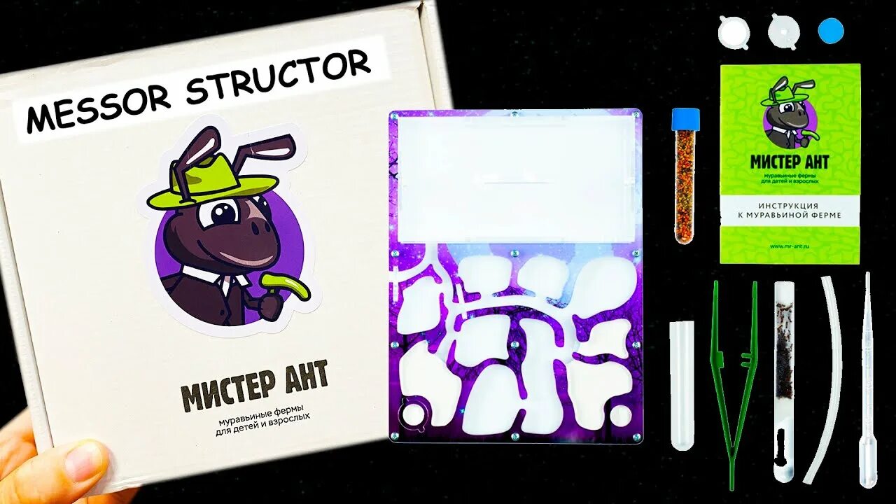 Mr ant