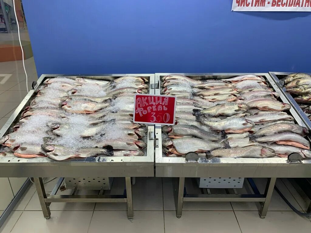 рыба карелии, петрозаводск, первомайский проспект. корельский рыбный магазин. онеженка петрозаводск рыба. рыба карелии магазин первомайский проспект 30. рыба карелии петрозаводск.