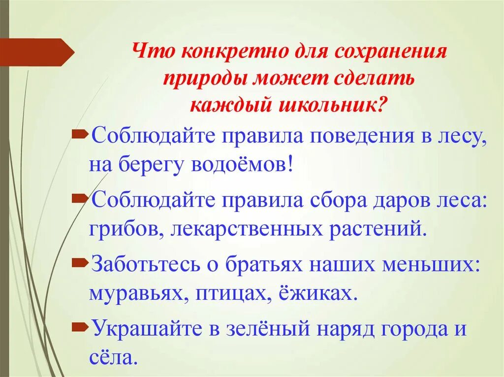 Каких можно сохранить. Что могут сделать школьники для сохранения природы. Что сделать для сохранения природы. Что может сделать для сохранения природы. Что должны делать люди для сохранения природы.