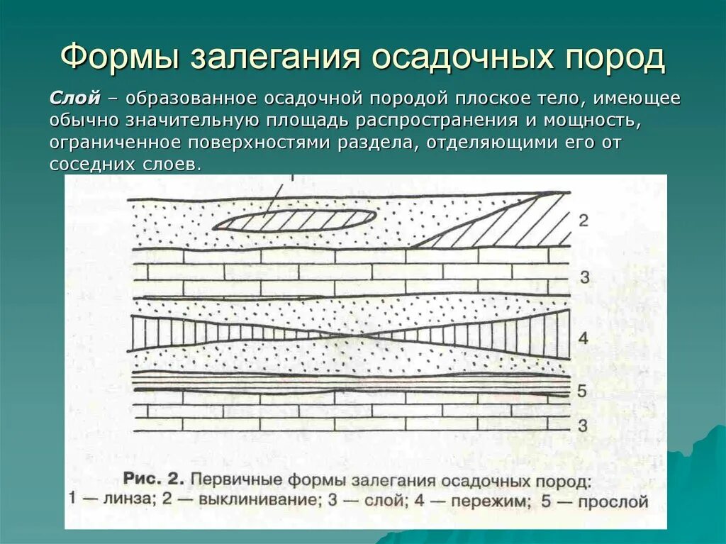 Стационарный слой. Первичные формы залегания осадочных пород. Первичные формы залегания осадочных горных пород: слой. Формы залегания магматических и осадочных пород. Вторичные формы залегания горных пород.