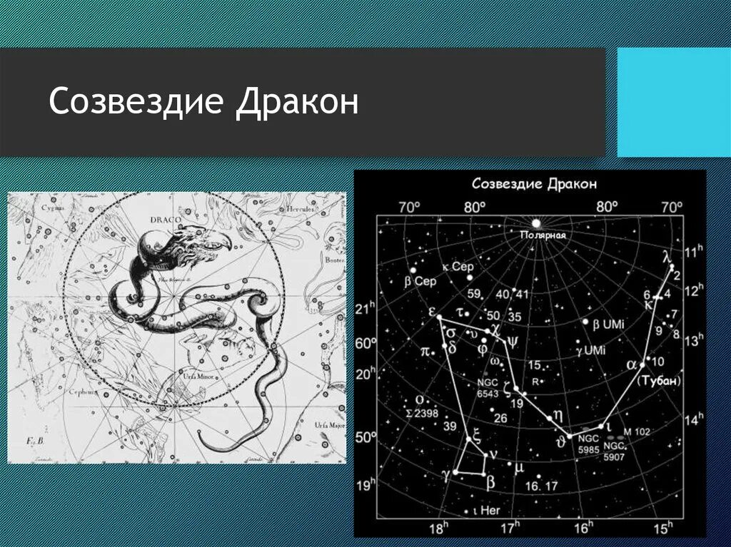 Определите координаты звезд льва. Околополюсное созвездие дракон. созвездие дракона яркие звезды. созвездие дракона история открытия. атлас яна гевелия созвездия дракона.
