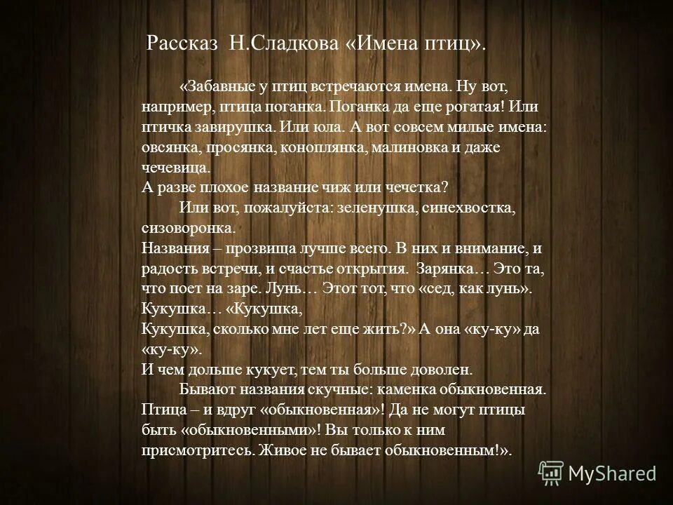 Забавные у птиц встречаются имена впр. У птиц забавные встречаются имена.