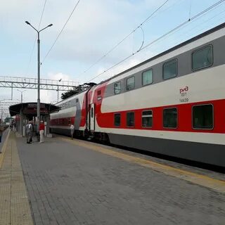 Какие поезда адлер санкт петербург