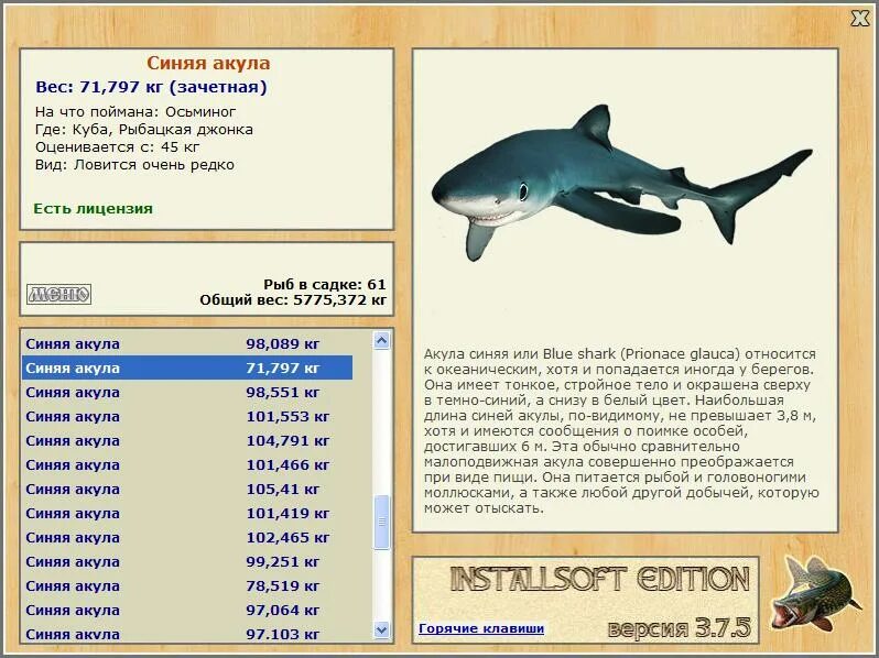 шарк дип вокен. размеры акул. вес тупорылой акулы. песочная акула русская рыбалка. сколько весит акула.