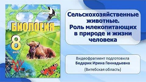 Какая роль млекопитающих в природе