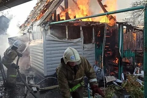 Брянская область обстановка на сегодня