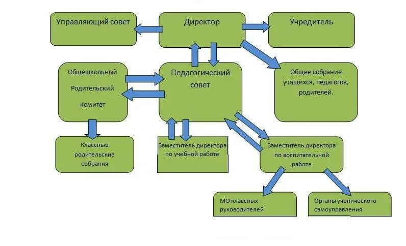 Органы управления образовательной организацией. Система образовательных учреждений схема. Структура органов управления организацией доп.образования. Состав управляющего совета образовательной организации. Структура органов самоуправления в учреждении СПО.