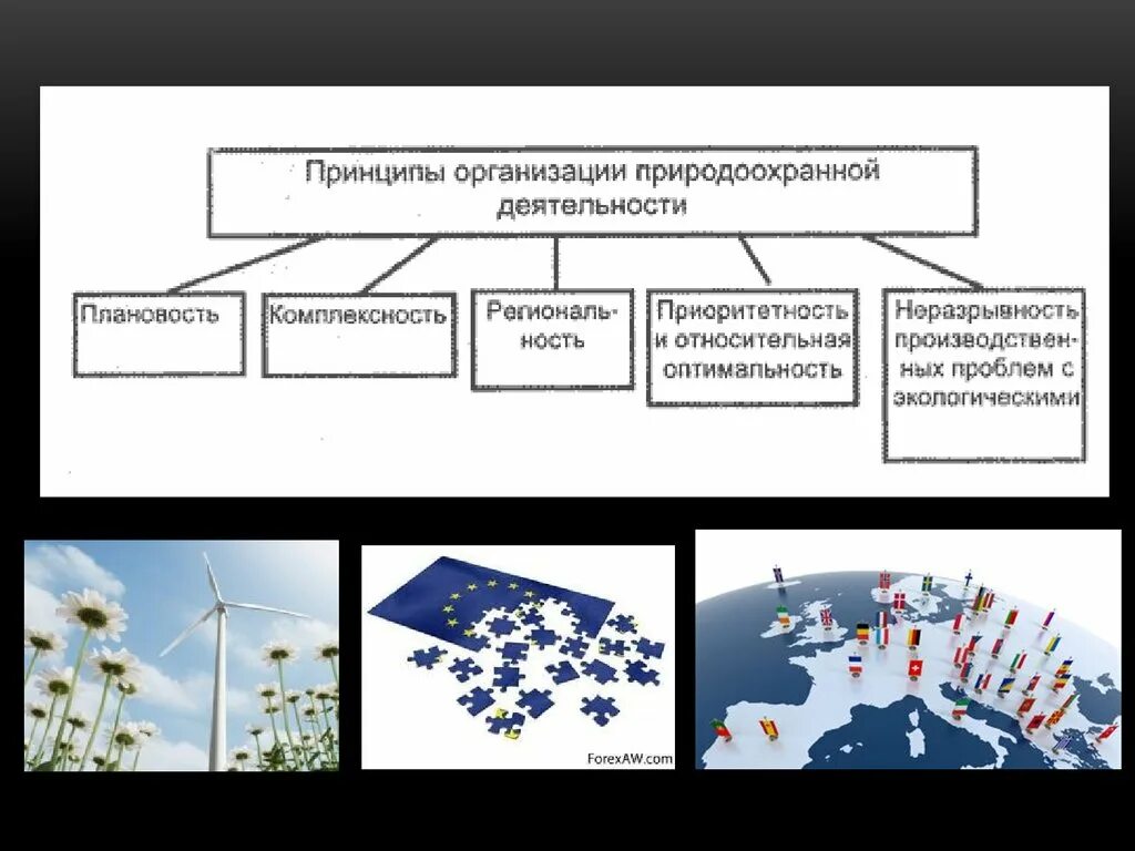 Результаты природоохранной деятельности. Деятельность природоохранных организаций. Основные принципы природоохранной деятельности. Природоохранная деятельность предприятия. Природоохранная деятельность примеры.