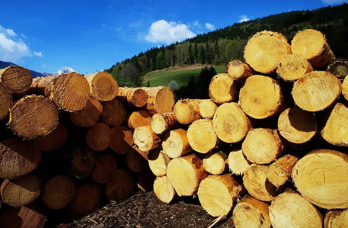 Цена на дерево в области. Запасы древесины. Лесная промышленность. Лесоматериалы необработанные. Древесные Лесные ресурсы.