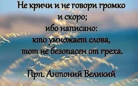 Без пустословия