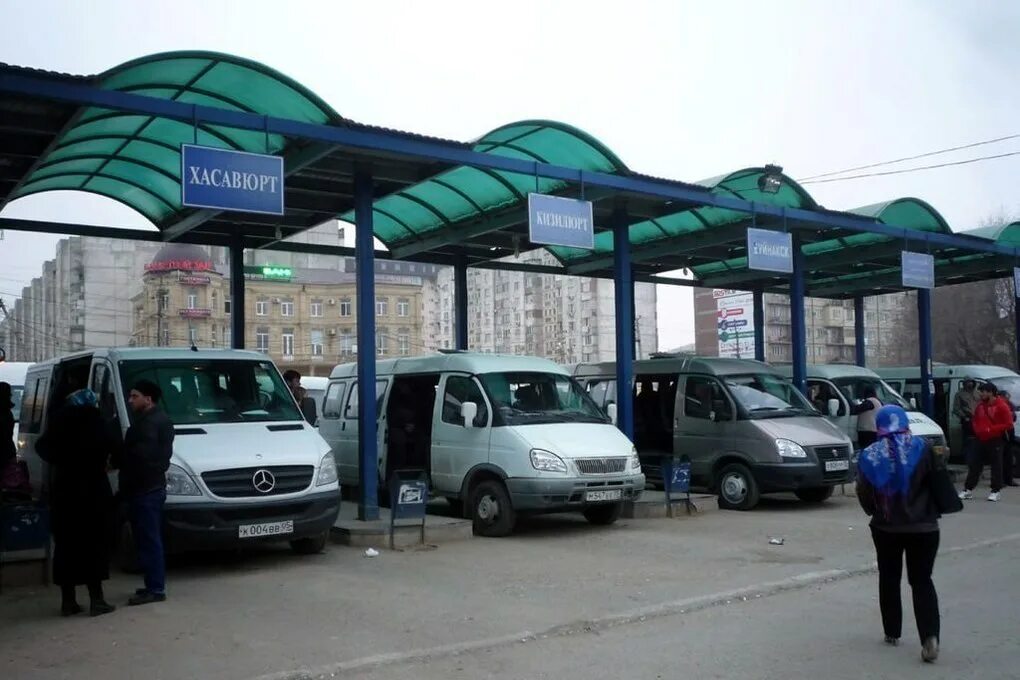 Газель ингушетии