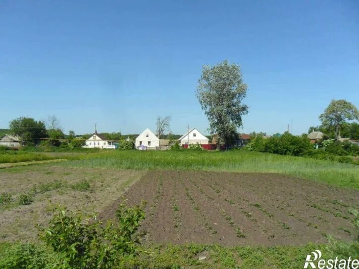 Село стригуны борисовка. Белгородская село стригуны. Стригуны белгородская область магазины. Белгородская село стригуны. Село стригуны белгородская область карта.
