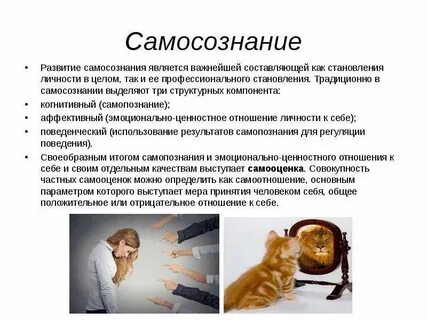 Самосознание личности в жизни