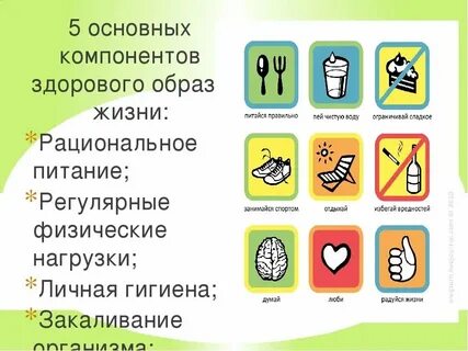 Определите составляющие здорового дня обж