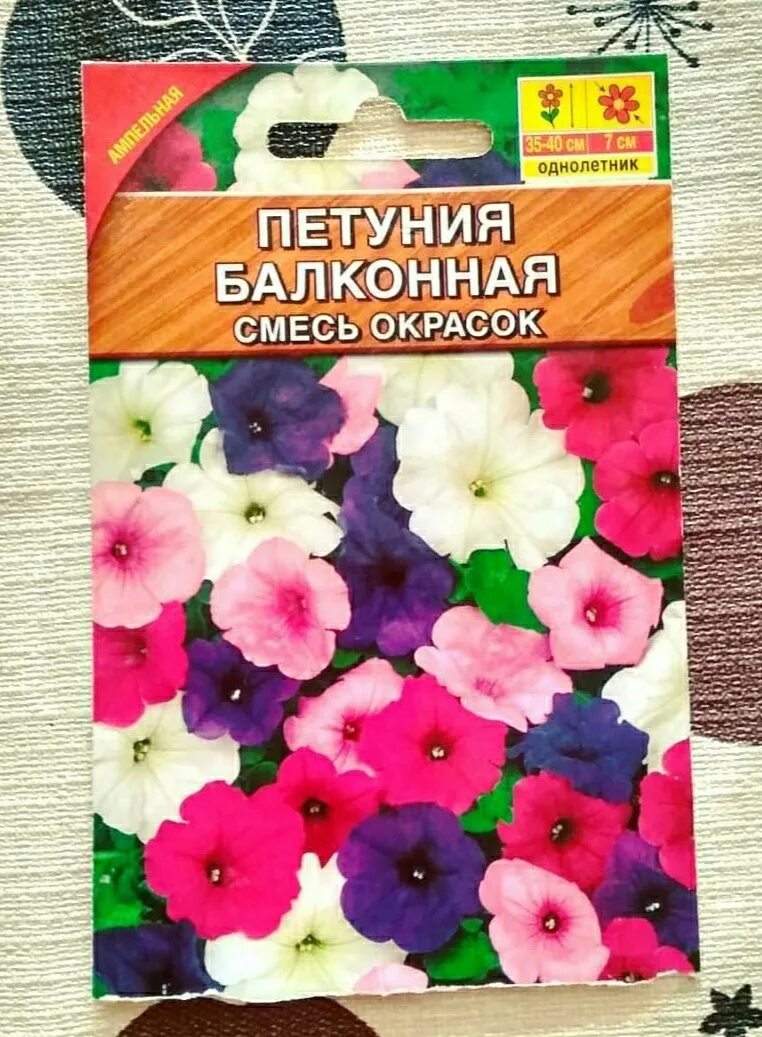 Петуния ампельная балконная смесь. Петуния балконная смесь окрасок.