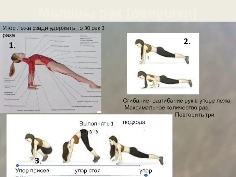 Находиться упор. Упор присед упор лежа. Сгибание и разгибание рук в упоре лежа. 1 Упор присев 2 упор лежа 3 упор присев. Сгибание-разгибание рук в упоре лежа мышцы.