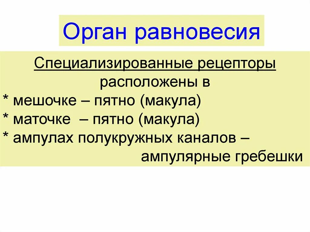 Чем выражается специализация рецепторов и органов чувств. Специализированные рецепторы. специализированные рецепторы расположены. рецепторы органа равновесия. рецепторы органов чувств.