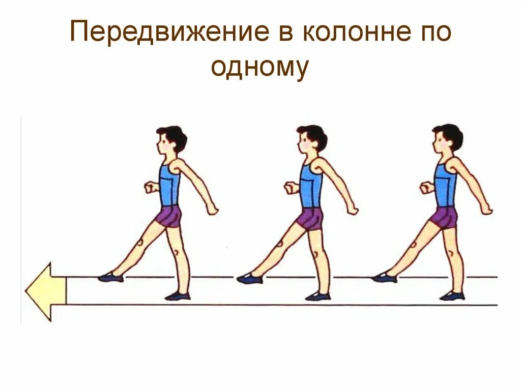 Ходьба в колонне по одному. Передвижения в физкультуре. Физические культуры передвижение. Что такое передвижения в строевых упражнениях.