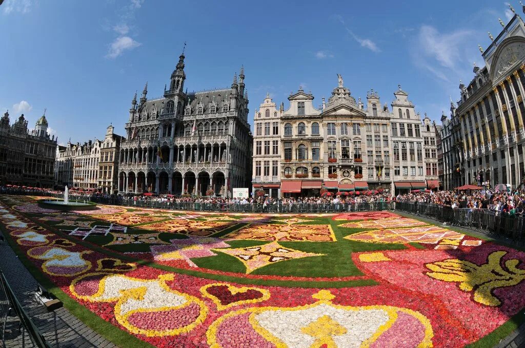 Плас. Плас. Плас журнал логотип. Плас. Системы.