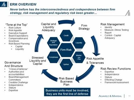 Risk review