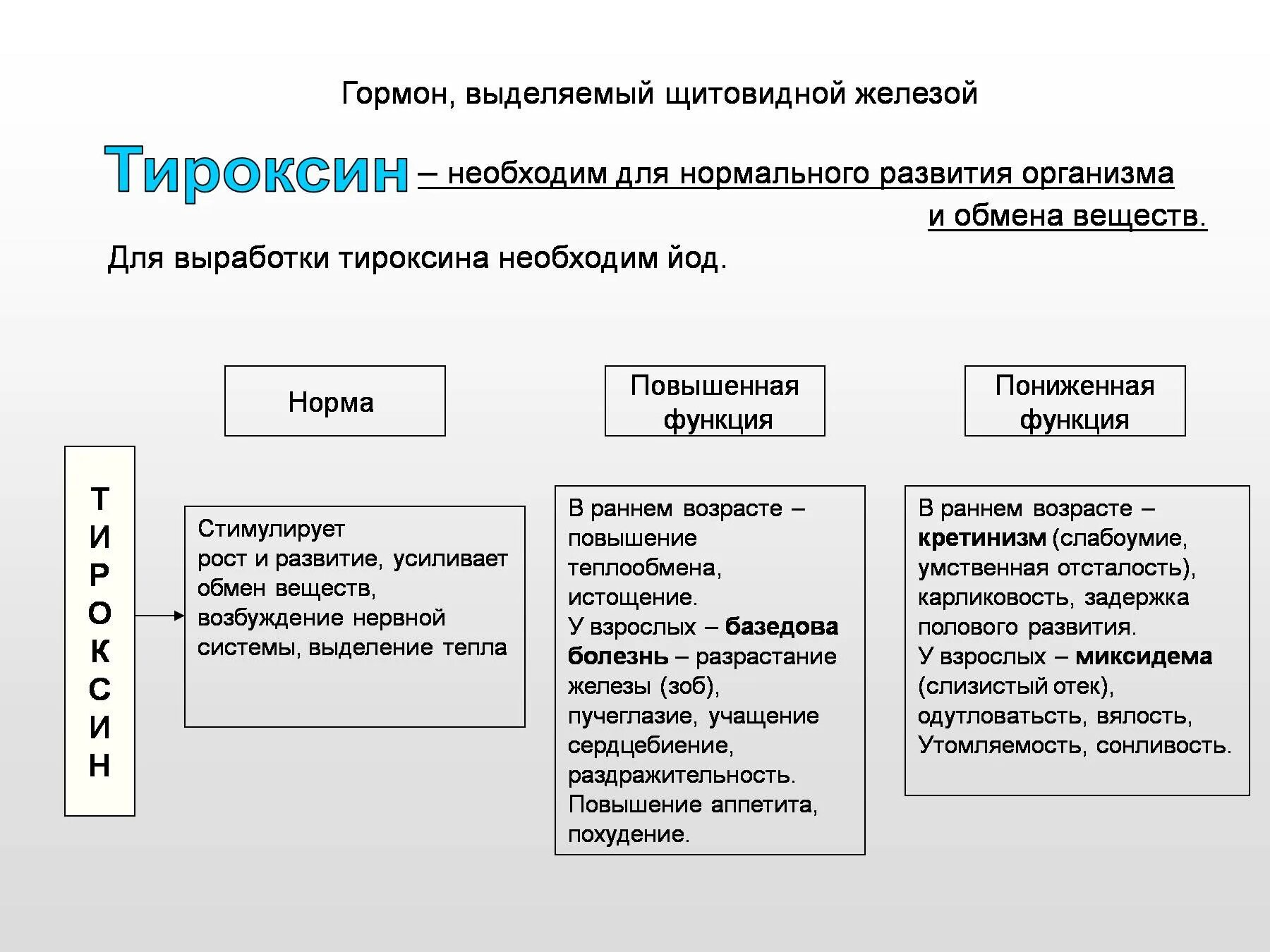 Тироксин гормон щитовидной железы функции. Щитовидная железа гормоны и функции. Выработки гормонов щитовидной железы,. Для выработки гормона щитовидной железы необходимо.