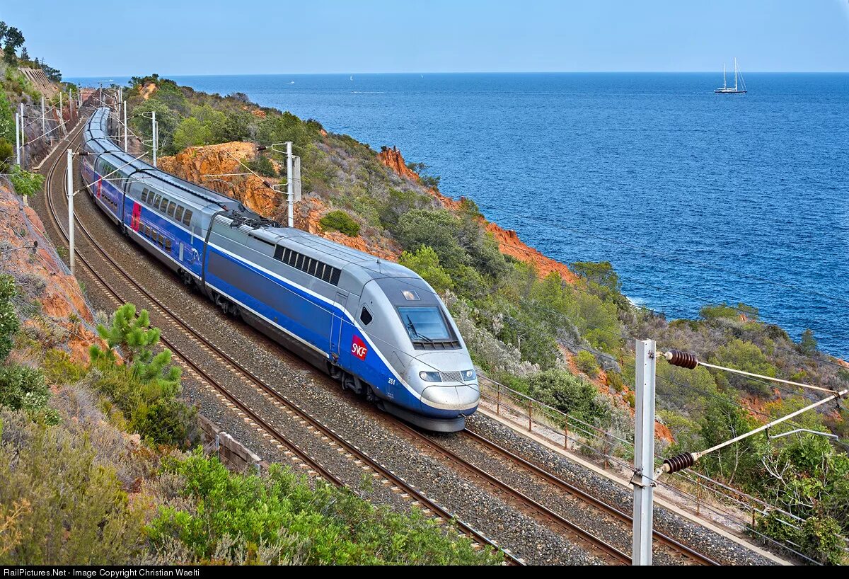 French train. Поезд ТЖВ Франция. Французский поезд TGV. Высокоскоростные поезда Франции TGV. Французские скоростные поезда TGV.