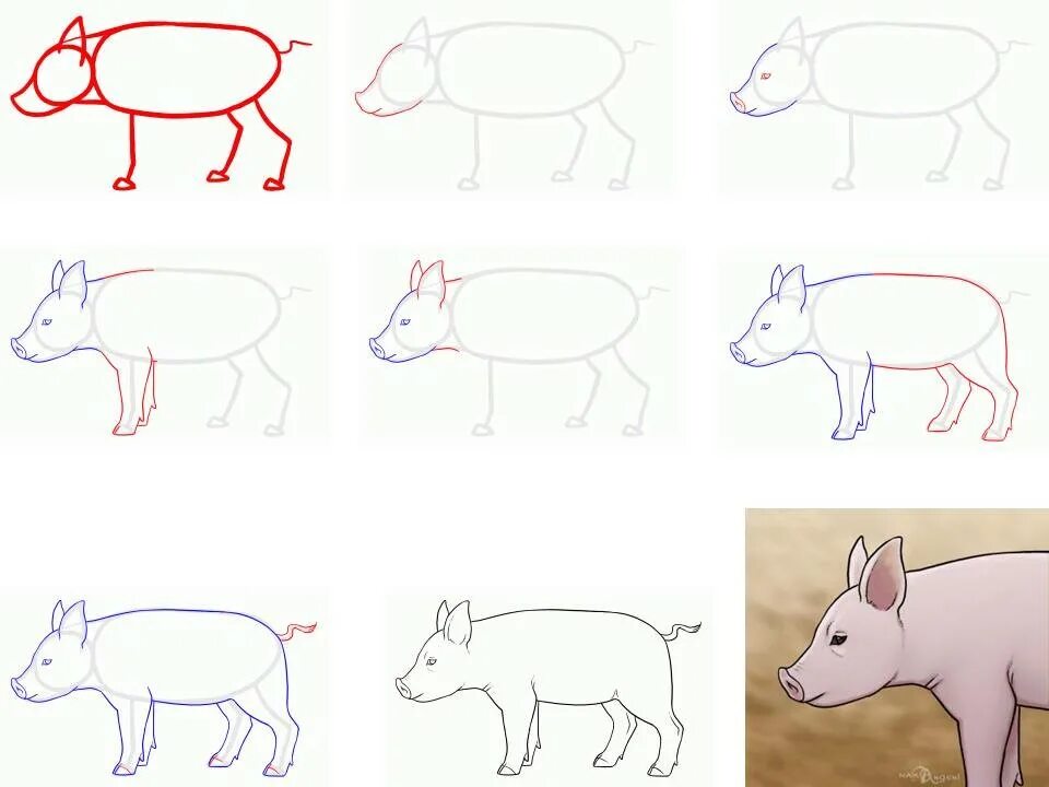 рисование поросят. рисование поросят. свинка рисунок. рисование с детьми поросенок. свинья мультяшная.