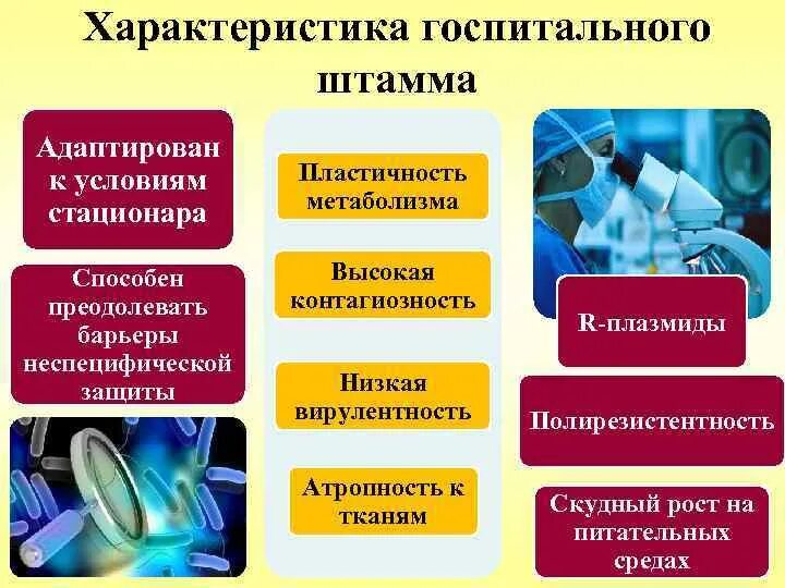 Понятие госпитальные штаммы. Госпитальные штаммы вби. Характерные признаки госпитальных штаммов. Госпитальный штамм. Определение госпитального штамма.