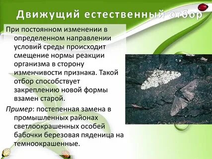 Движущаяся форма отбора