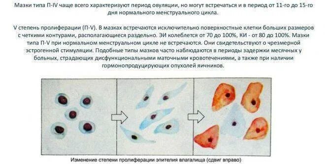 После Цитологии Можно Заниматься Сексом