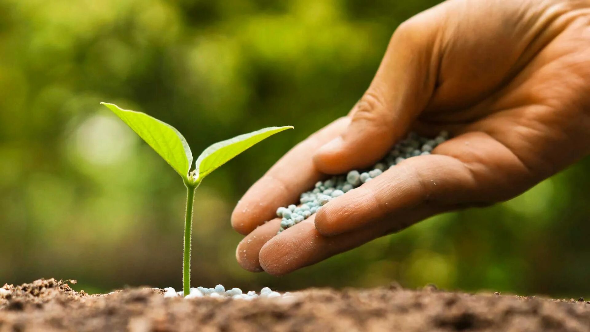 Caring environment