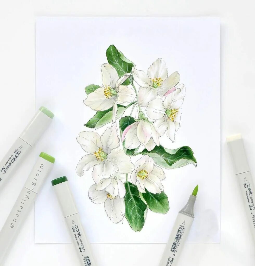 Скетчбуки sketchmarker