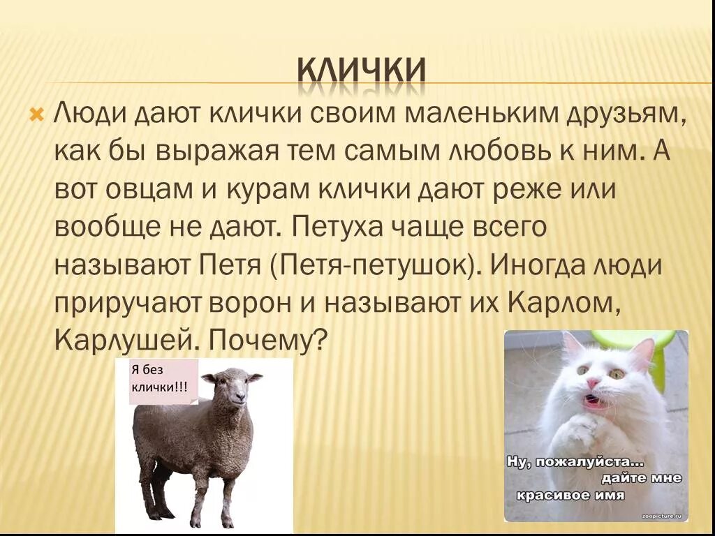 Давать клички людям