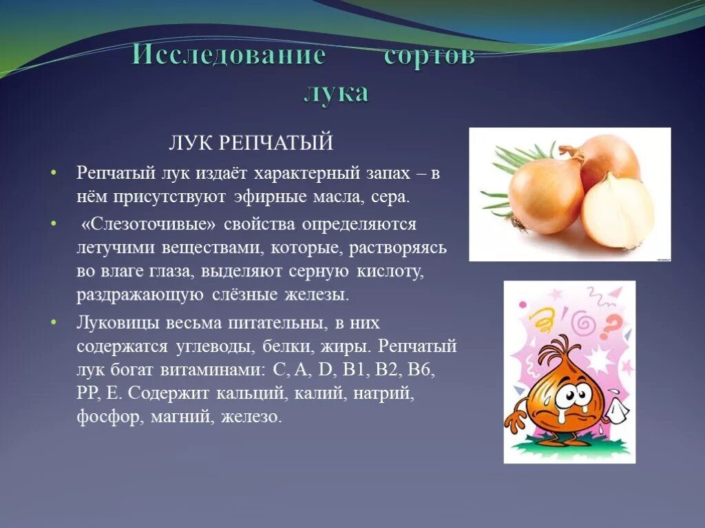 Луковые работы. Проектная работа выращивание лука в домашних условиях. Практическая работа выращиваем лук. Репчатый лук полезные. Условия выращивания лука кратко.