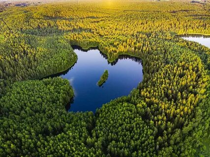 Нарочанский парк беларуси
