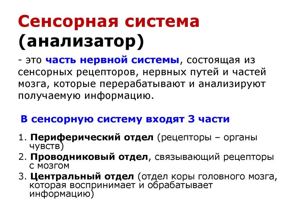 Какие отделы входят в анализатор. Перечислите и кратко охарактеризуйте функции сенсорных систем.. Строение и функции сенсорных систем. Схема строения сенсорной системы анализатора. Сенсорные системы организма кратко.