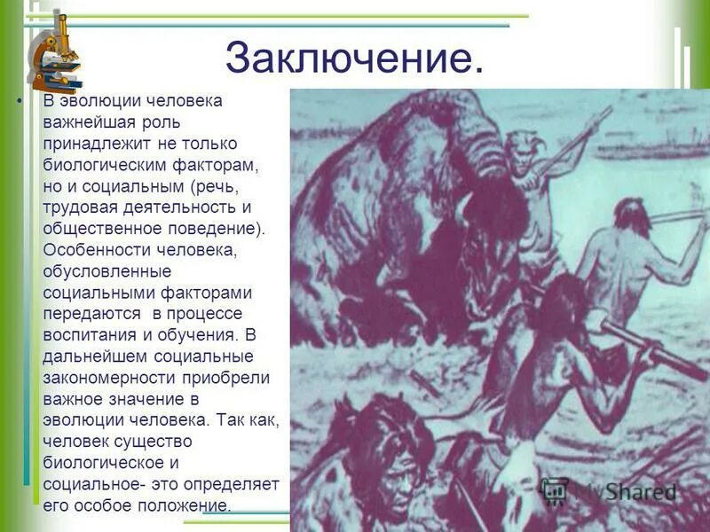 Роль огня в эволюции человека. Овладение огнём первобытных людей. Роль огня в эволюции человека. Роль огня в эволюции человека. Человек прямоходящий образ жизни.