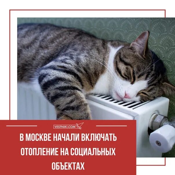 Какого числа должны включить отопление в москве. Включили отопление. картинка отопление ввелючтли. включите отопление картинки. отопление не включили.