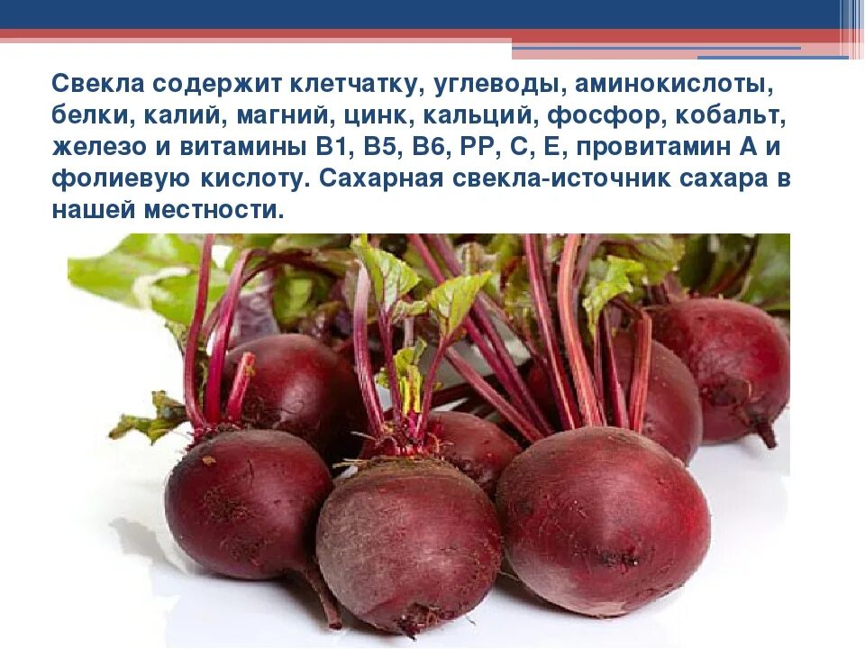 Свекла относится к группе. Железо в свекле. Клетчатка в свекле. Что содержится в свекле. Содержание клетчатки в свекле.