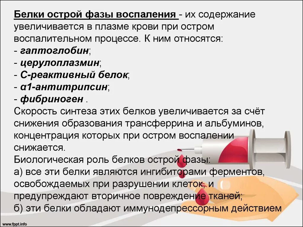 Показатель воспалительного процесса в крови. Белки острой фазы воспаления. Белки острой фазы воспалительных процессов. Кровь при воспалительном процессе. Белки крови в острой фазе воспаления анализ.