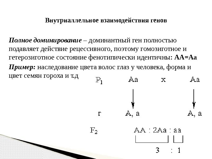Напишите пример генотипа организма Образование генотипов гамет