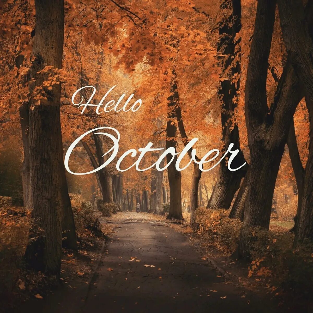 October first. Привет октябрь. Октябрь надпись. Октябрь надпись красивая. Хелло октябрь.