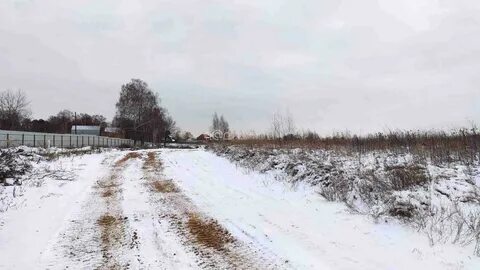 21 га