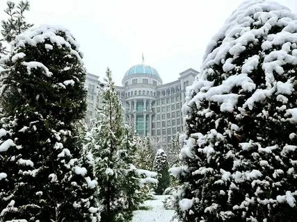 Погода в душанбе в ноябре