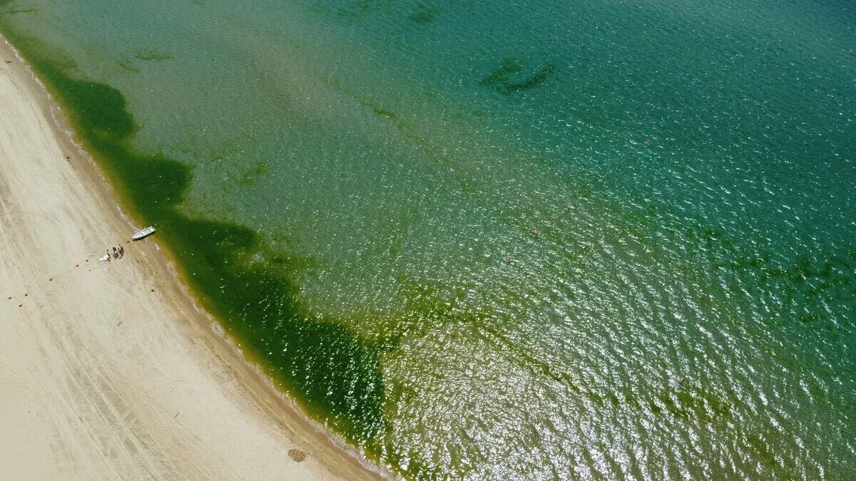 Когда цветет море. Джемете море цветет. джемете анапа море цветет. джемете море цветет август. витязево море цветет 2025.